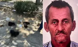 İzmir Selçuk’ta şoke eden olay! Çocukları kullanarak hayvanları zehirleyen şüpheli tutuklandı