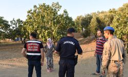 Jandarmadan incir ve zeytin bahçelerinde hırsızlık önlemi