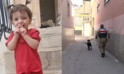 Kayıp 2 yaşındaki çocuk için arama çalışmaları sürüyor