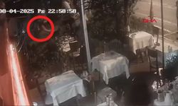 Kediye şiddet uygulayan kişiyi silahla yaraladı