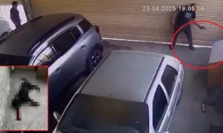 Komşu esnafın köpeğini öldüren şüpheli tutuklandı