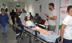 Düğüne giden 12 yaşındaki çocuğu köpek ısırdı