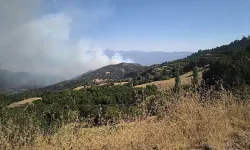Korkutan orman yangını: Ekipler aralıksız müdahaleyi sürdürüyor