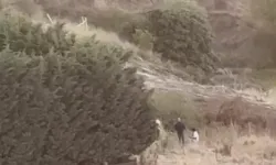 Kurye kılığındaki saldırgan dehşet saçtı: Silahlı saldırgan, özel harekat ve müzakerecilerle teslim oldu