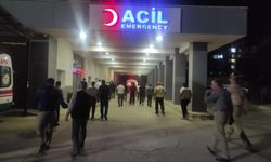 Meşe ağacı faciası: 67 yaşındaki adam yaşamını yitirdi