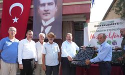 Milas Belediyesi’nden üreticiye fide desteği