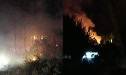 Muğla’da orman yangını alarmı: Yangın büyümeden söndürüldü!