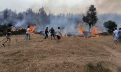 Muğla'da anız yangınlarına karşı uyarı: 2025'te 869 yangın kaydedildi
