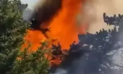 Orman yangını korkuttu: Ekipler alevlerle mücadele ediyor!