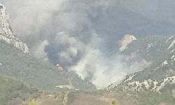 Orman yangını korkuttu! Ekipler havadan ve karadan seferber oldu!