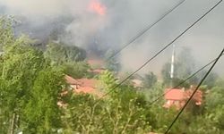 Orman yangını paniği: Alevler yerleşim yerlerine yaklaştı!