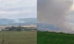Ormanlık alanda yangın: Havadan ve karadan müdahale ediliyor!