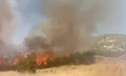 Örtü yangını çıktı, itfaiye ve askeri helikopterle müdahale ediliyor