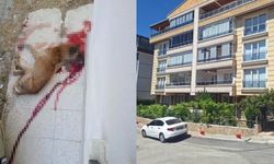Polis memurunun tabancayla vurduğu köpek hayatını kaybetti