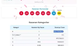 Sayısal Loto’da 1 Kişi 543 milyon TL kazandı: İkramiye nereye çıktı?