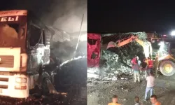 Seyir halindeki TIR küle döndü