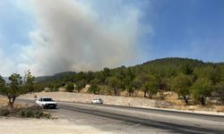 SON DAKİKA | Adıyaman'da ormanlık alanda yangın çıktı: Havadan müdahale başladı!