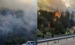 SON DAKİKA | Bolu'da orman yangını: Karayolu ulaşıma kapatıldı