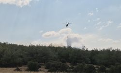 SON DAKİKA | Ormanlık alanda çıkan yangına havadan ve karadan müdahale ediliyor