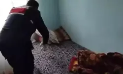 Sosyal medya ve kripto dolandırıcılığına büyük darbe: 11 kişi tutuklandı