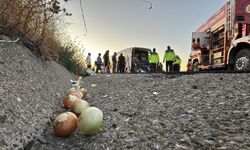 TEM Otoyolu'nda feci trafik kazası: Otobüs şoförü can verdi, Çok sayıda yaralı var!