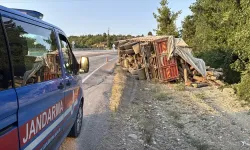 Tomruk yüklü tır devrildi, sürücü yaralandı