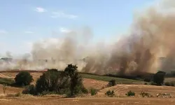 Tarım arazisinde yangın: Ekipler havadan ve karadan müdahalede ediyor!