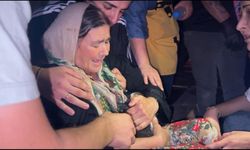 Yangın faciası: Mahsur kalan kediler son anda kurtarıldı!