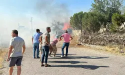 1400 hektar alanın zarar gördüğü yangını akli dengesi yerinde olmayan 2 kişi çıkarmış