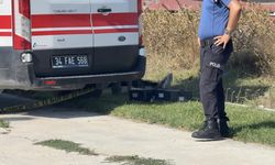 Yol kenarında şok ölüm! Yanında tabanca bulundu: İntihar mı cinayet mi?