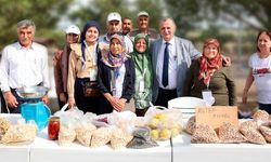 Yunusemre'de "Yuntdağı Yöresel Ürünler Pazarı" geleneği sürüyor