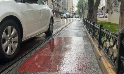 Kurak geçen yaz aylarının ardından İzmir'de yağmur sevinci