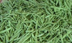 Ağustosta market–üretici arasında uçurum: Yeşil fasulye uçtu, limon çakıldı!