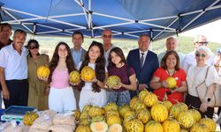 Boşnak kültürü Urla’da yaşatılıyor