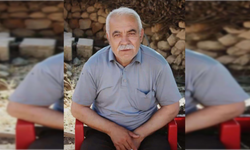 Ceviz ağacından düşen muhtar hayatını kaybetti