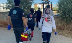 “C*set kokusu” ihbarı ekipleri alarma geçirdi!