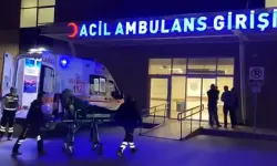 Düğünde tavuk döner ve pilav yiyen 10'u çocuk 106 kişi hastanelik oldu