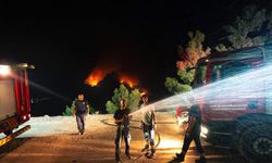 İzmir İtfaiyesi, Denizli’deki orman yangınına müdahale ediyor