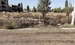 Evinin önündeki ot yangınında hayatını kaybetti