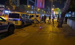Feci kaza can aldı: Yolun karşısına geçmeye çalışırken canından oldu