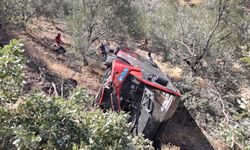 Halk otobüsü zeytinlik alana devrildi: Yaralılar var!