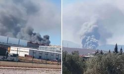 İzmir Aliağa'da fabrikada yangın çıktı