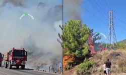 İzmir Gümüldür’de yol kenarındaki ormanlık alanda yangın çıktı