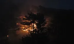 Kastamonu-Karabük orman yangınına müdahale sürüyor