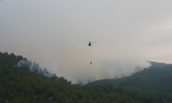 Kastamonu'da orman yangınları büyüyor: Tahliyeler ve havadan müdahale sürüyor!