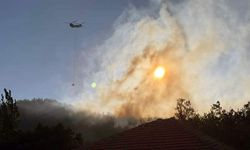 Köyceğiz ve Alanya’daki orman yangınları kontrol altında
