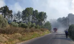 Manavgat'ta ormanlık alanda alevler yükseldi