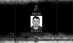 Orman İşletme Müdürlüğü personeli Ali Balcı hayatını kaybetti