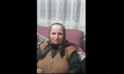 Otomobilin çarptığı 72 yaşındaki kadın hayatını kaybetti