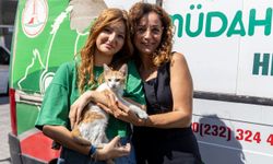 "Şanslı" yeni yuvasında: Kazadan kurtuldu, şifa buldu